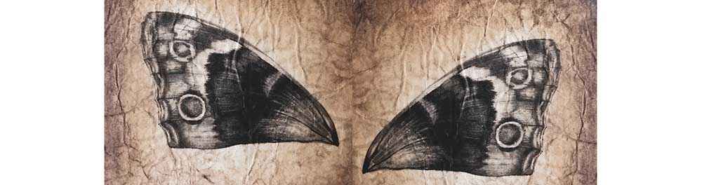 Insects